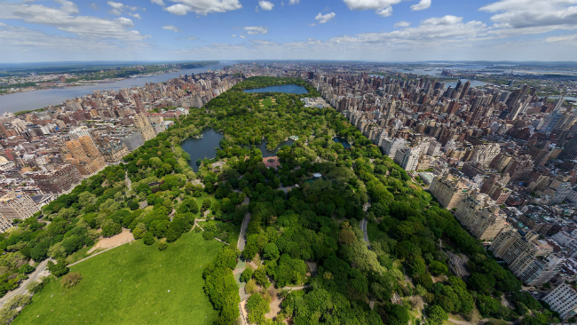view over central park in New York