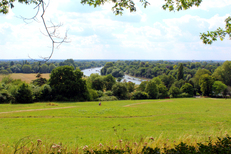 view from Richmond Hill in London