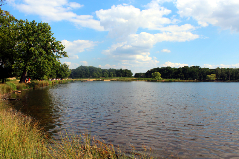 lake in Richmond Park