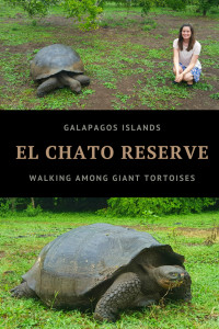 Visiting the El Chato Reserve on the Galapagos Islands