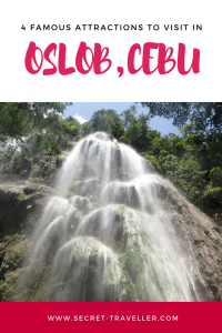 Are you travelling to the Philippines? Here are 5 famous attractions to visit in Oslob in Cebu.