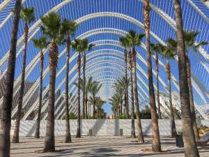 Palm tree garden in Valencia
