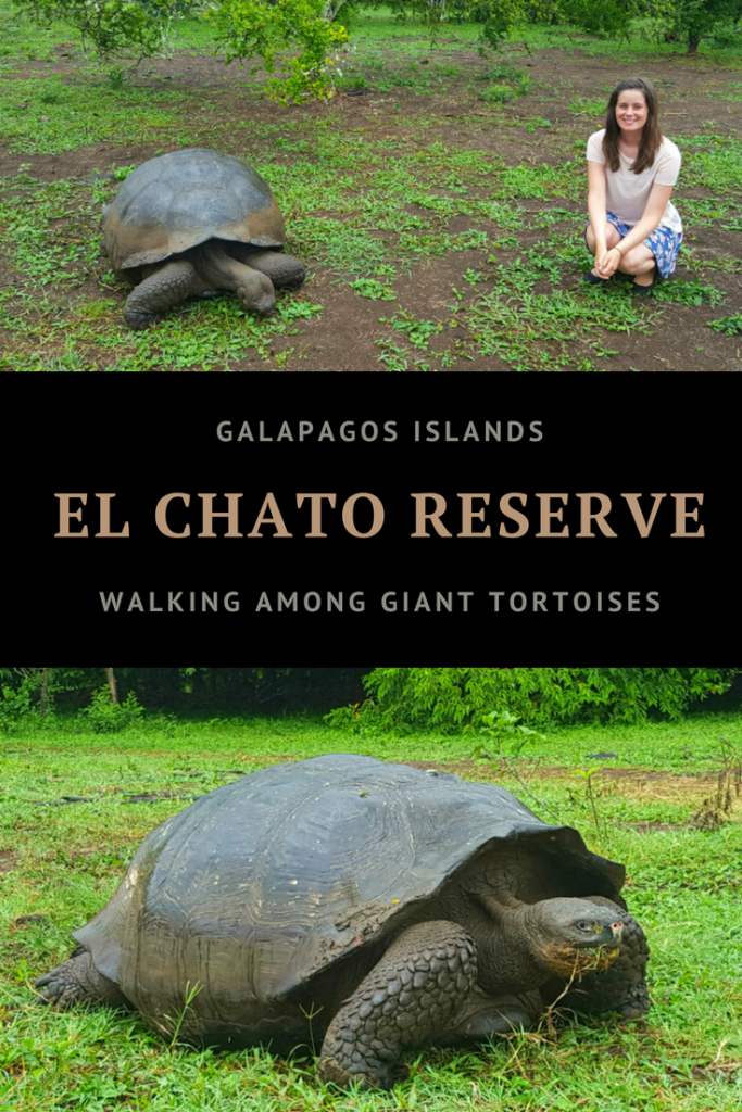 Galapagos Islands - El Chato Reserve