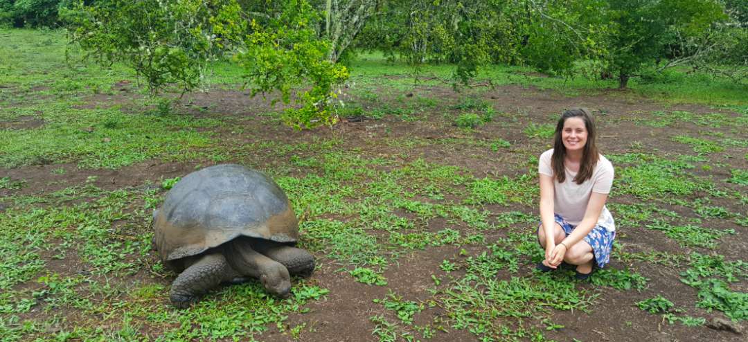 El Chato Tortoise Reserve: Walking among Giant Galápagos Tortoises ...