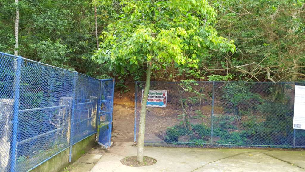 Entrance to Morro Dois Irmãos