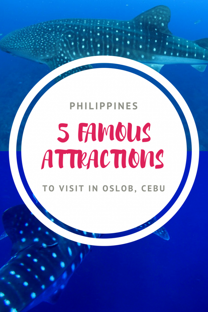 Visiting the Philippines? Here are 5 famous attractions to visit in Oslob (Cebu)