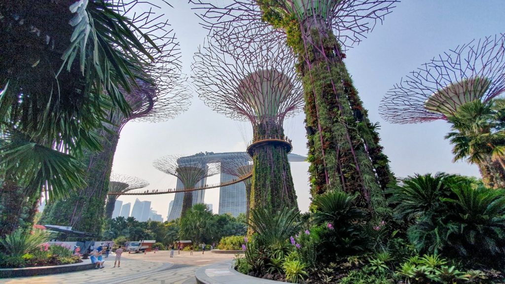 Gardens by the Bay in Singapore